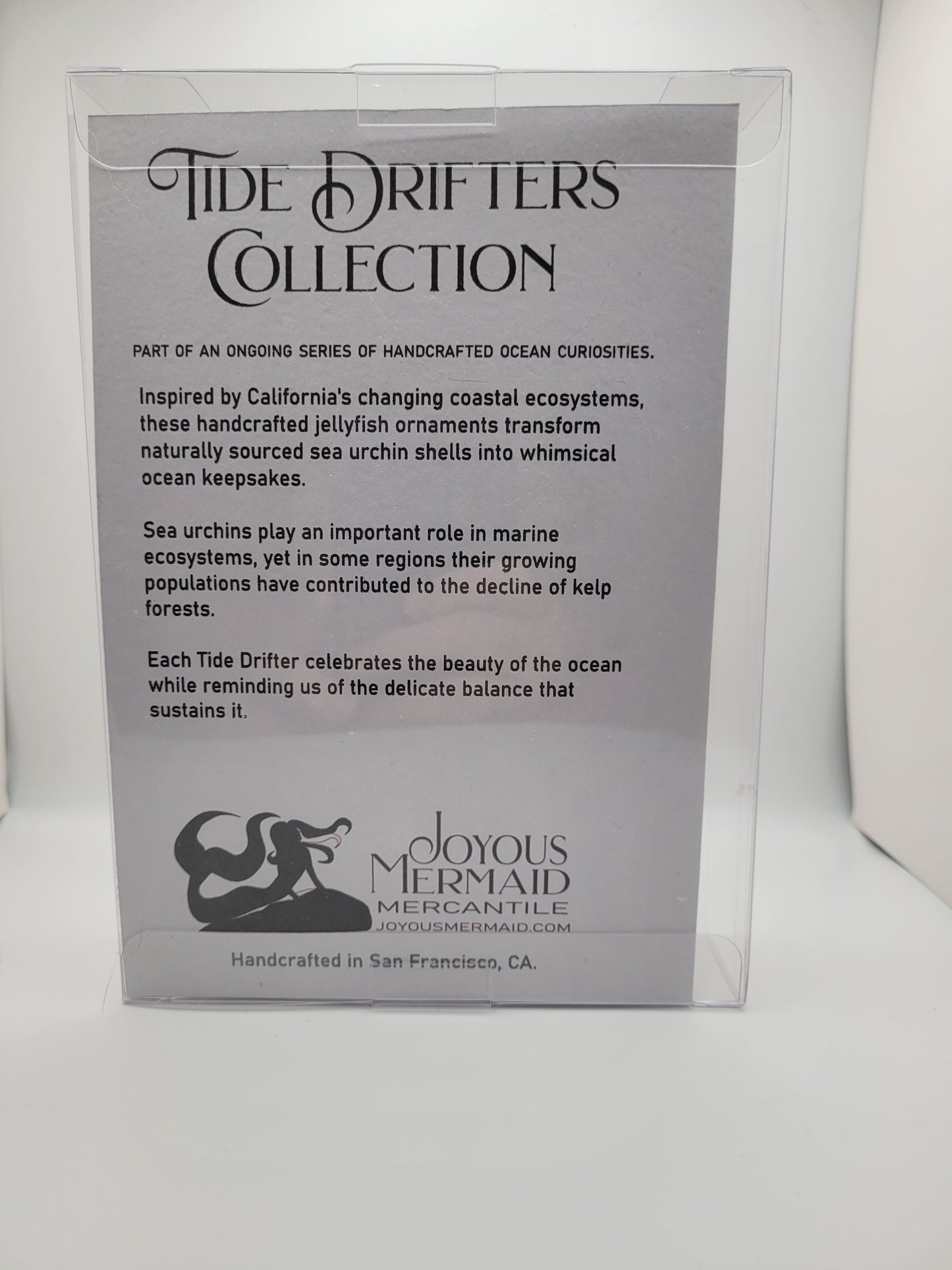 Sea Lantern - Specimen - No. 001