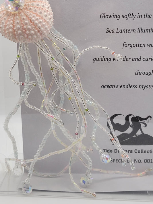 Sea Lantern - Specimen - No. 001