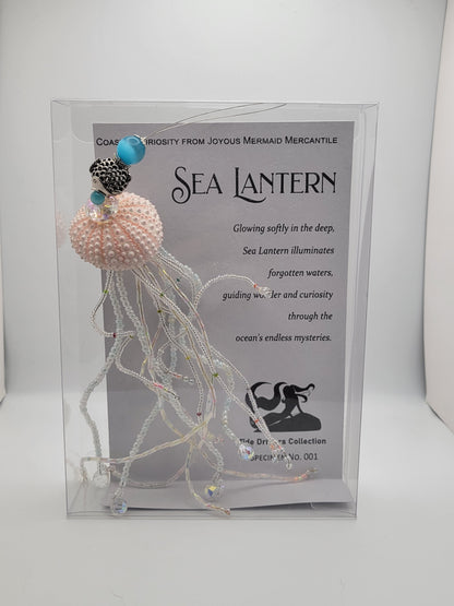 Sea Lantern - Specimen - No. 001