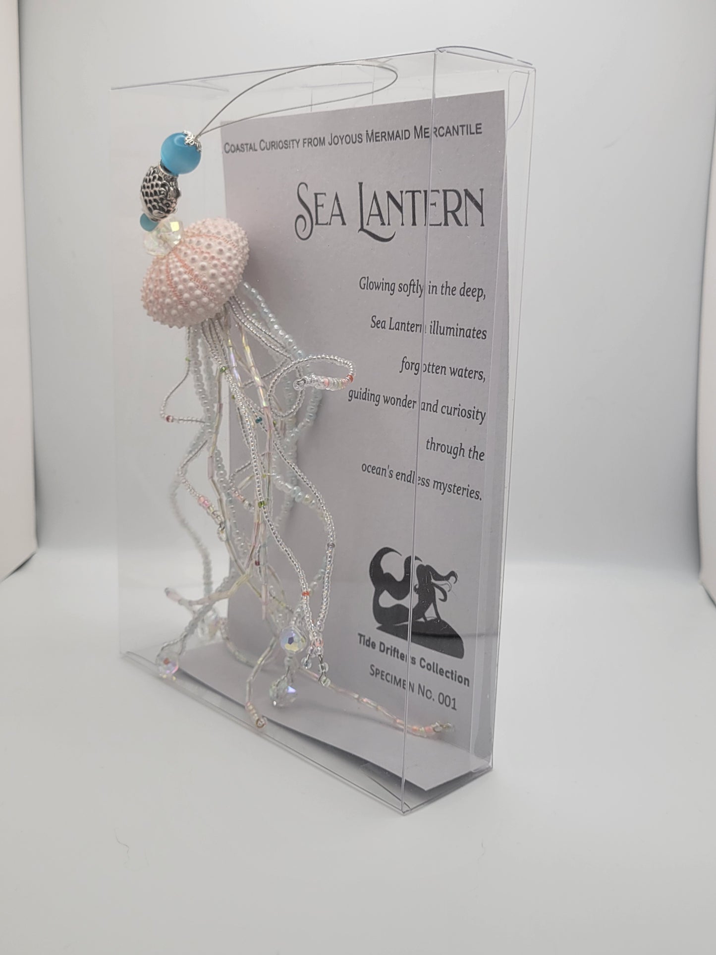 Sea Lantern - Specimen - No. 001