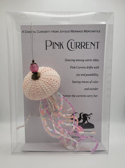Pink Current - Specimen No. 001